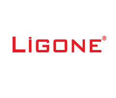 Ligone